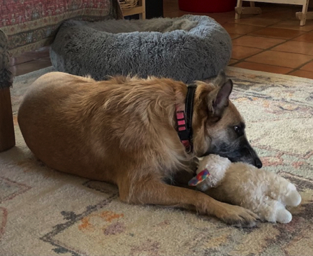 June 19 - Elsa and her Lambchop; 
a gift from Jo.